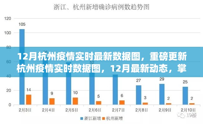 12月杭州疫情实时数据图更新，掌握最新动态，共筑健康防线