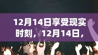 12月14日，与自然共舞，寻找内心平静的奇妙之旅