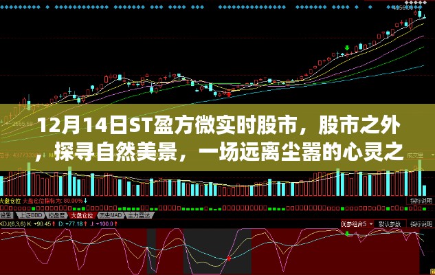 ST盈方微股市轻语，探寻自然美景的心灵之旅，启程于股市之外