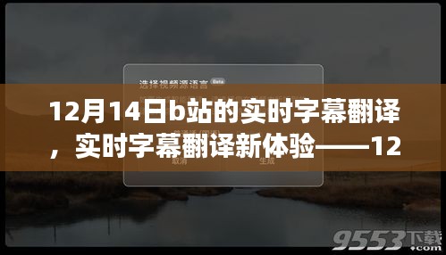 12月14日B站实时字幕翻译新体验，深度评测与功能探索