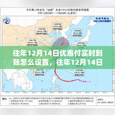 往年12月14日优惠支付实时到账设置详解及探讨