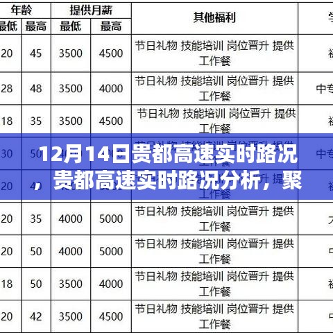 2024年12月17日 第15页