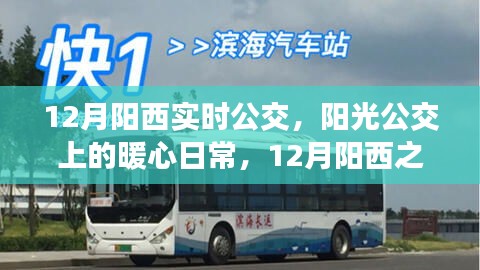 12月阳西之旅，阳光公交上的暖心日常实时公交指南