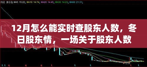 冬日股东情，实时查询股东人数的故事与指南