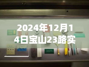 探秘宝山23路，巷弄深处的特色小店，惊喜之旅（实时动态，2024年12月14日）