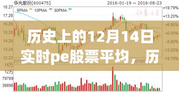 探寻PE股票背后的自然秘境之旅，历史上的12月14日实时平均数据解析