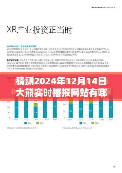 预测未来，探索大熊实时播报网站在2024年12月14日的形态