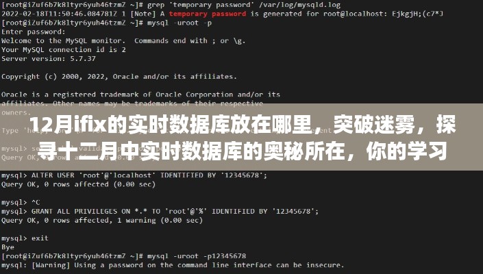 探寻十二月实时数据库位置，学习之旅启程