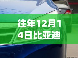 比亚迪速锐之旅，与自然共舞，探寻内心平和与速度的实时车速体验之旅