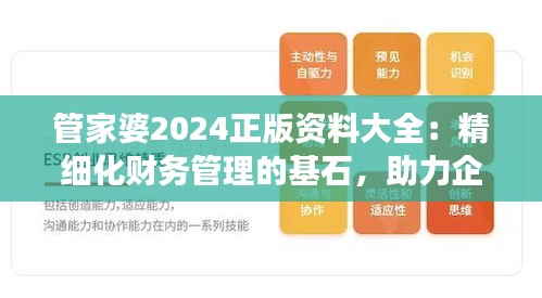 管家婆2024正版资料大全：精细化财务管理的基石，助力企业稳健发展