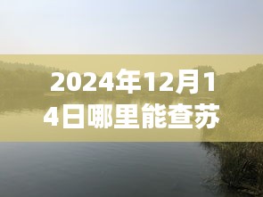 2024年苏州实时公交指南，探秘自然美景与寻找心灵驿站