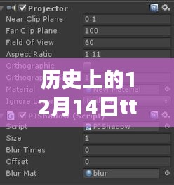 历史上的1��月十四日，TT实时变声技术的演变与影响