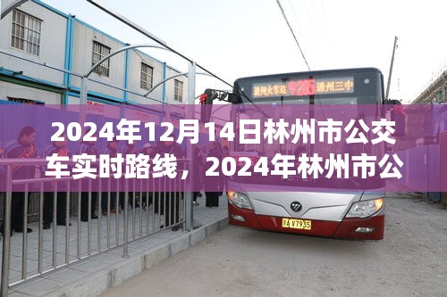 2024年林州市公交车实时路线指南，12月14日最新路线