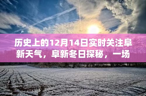 阜新冬日探秘，实时天气关注与自然的邂逅之旅，寻找内心宁静的冬日体验