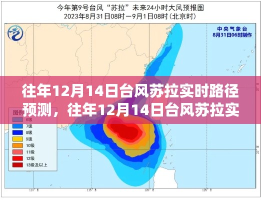 往年12月14日台风苏拉实时路径预测，步骤指南与最新动态关注