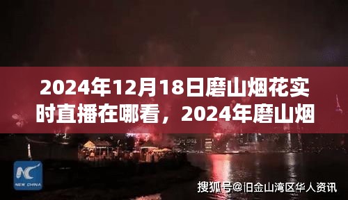 2024年磨山烟花盛典实时直播观看指南与体验解析