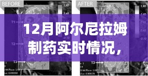 阿尔尼拉姆制药12月实时动态，生产进展、市场洞察一览无余