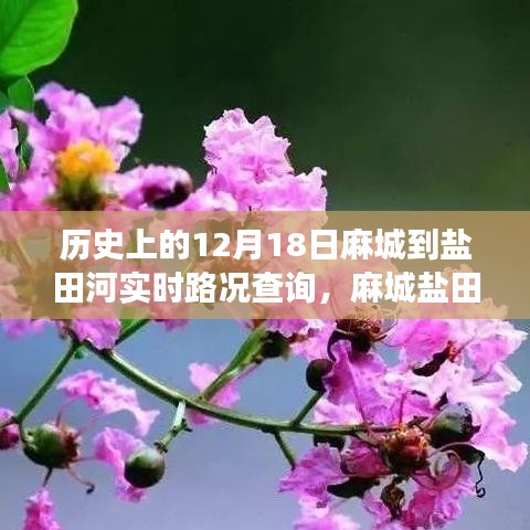 麻城盐田河，一条路上的故事与温情——实时路况查询记录