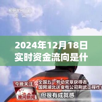 揭秘实时资金流向，开启财富之旅的自信与成就感之路（2024年12月18日）