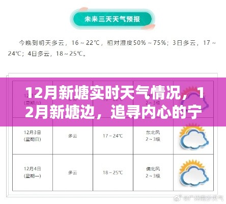 12月新塘实时天气探索，追寻内心的宁静与自然微笑