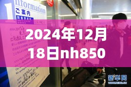 探秘隐藏美食与NH航班背后的故事，NH航班实时动态与小巷深处的独特魅力