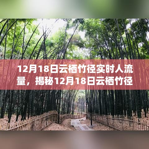 揭秘，云栖竹径在12月18日的实时人流量深度解析与洞察报告