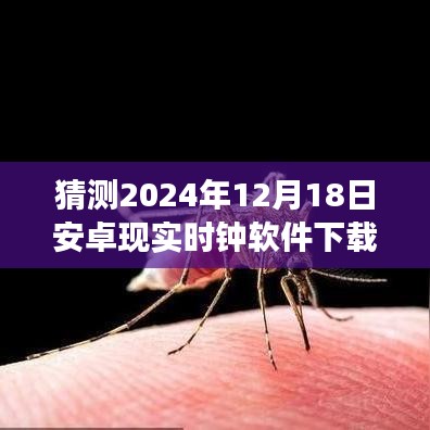 时光之窗，安卓时钟软件奇妙下载之旅，预测下载量飙升于2024年12月18日！