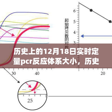 探讨历史上的实时定量PCR反应体系大小演变及其影响在十二月十八日的研究历程