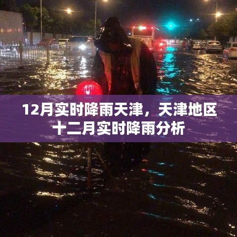 天津地区十二月实时降雨分析与预测