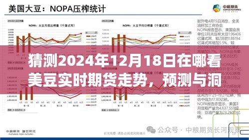 美豆实时期货走势展望，探寻2024年12月18日走势预测与洞察