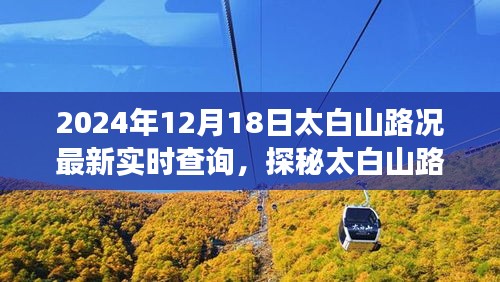 太白山路况实时更新，美食之旅探寻隐藏小巷的独特风味