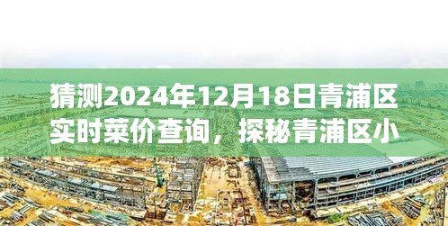 探秘青浦区菜价秘境，2024年12月18日菜价预测与实时查询之旅