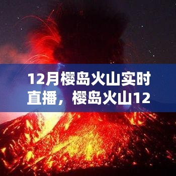 樱岛火山12月实时直播评测与全面介绍