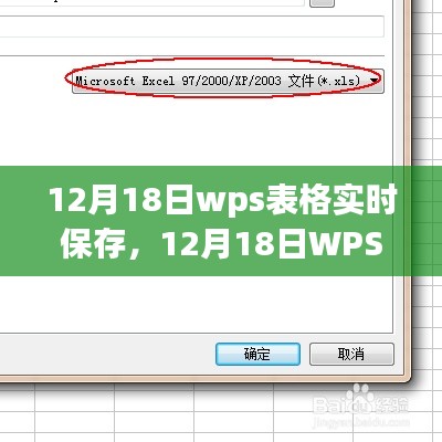 12月18日WPS表格实时保存设置，提升工作效率的关键