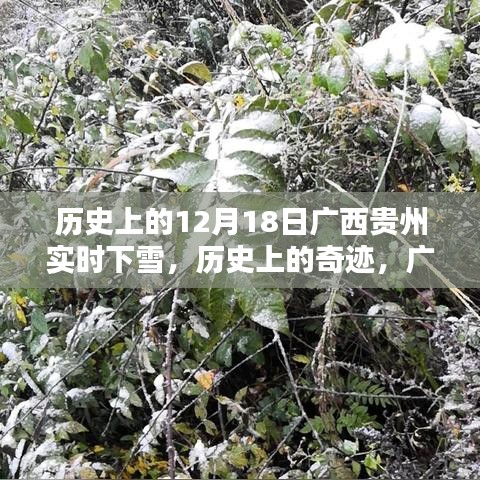 广西贵州十二月十八日奇迹般的雪景历史纪实