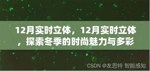 探索冬季时尚魅力与多彩生活的实时立体时尚指南（12月版）