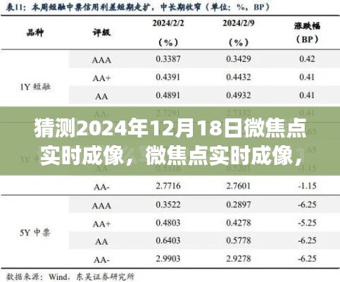 微焦点实时成像技术，触摸科技脉搏，预见未来的科技展望（2024年12月18日）