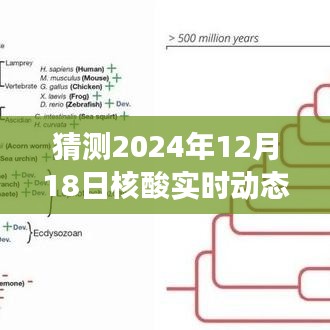 揭秘未来之旅，核酸实时动态与心灵自然美景的奇妙邂逅（预测日期为2024年12月18日）