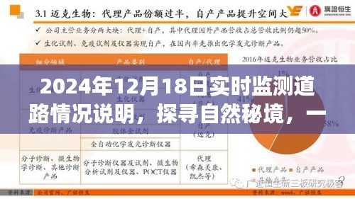 探寻自然秘境的心灵之旅，2024年12月18日实时监测道路情况深度解析