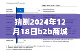 深度评测，预测与解析2024年12月18日B2B商城实时票据特性、体验、竞品对比及用户群体分析