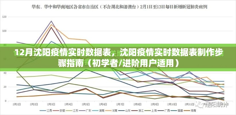 沈阳疫情实时数据表制作指南，初学者与进阶用户适用