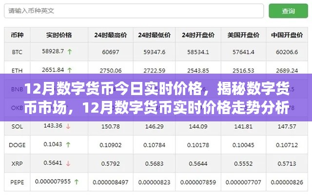 揭秘数字货币市场，今日实时价格分析与走势预测（12月版）