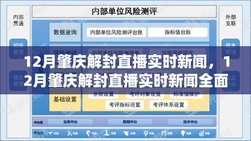 12月肇庆解封直播实时新闻，全面解读与评测