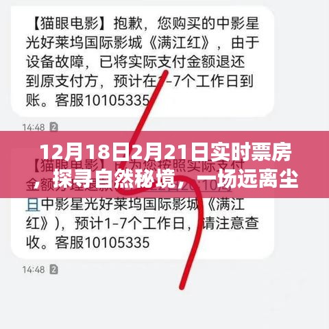 探寻自然秘境的心灵之旅，揭秘实时票房热议背后的故事