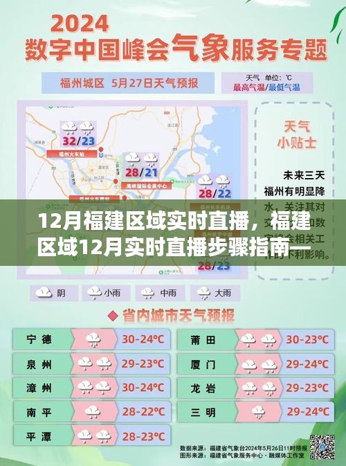 福建区域直播指南，12月实时直播步骤与初学者进阶用户共融宝典