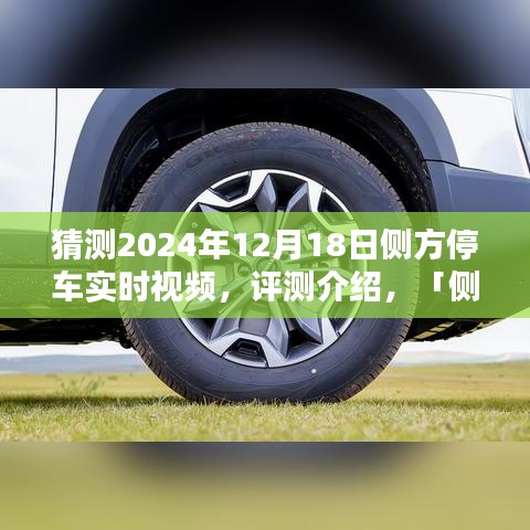 侧方停车技术展望，2024年的停车体验革新实时视频评测介绍