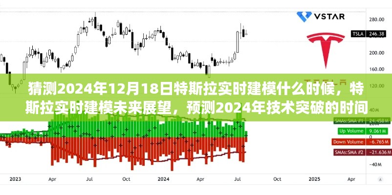 2024年12月21日 第7页