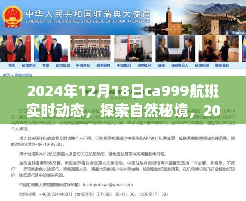 探索自然秘境，揭秘CA999航班实时动态与奇妙之旅