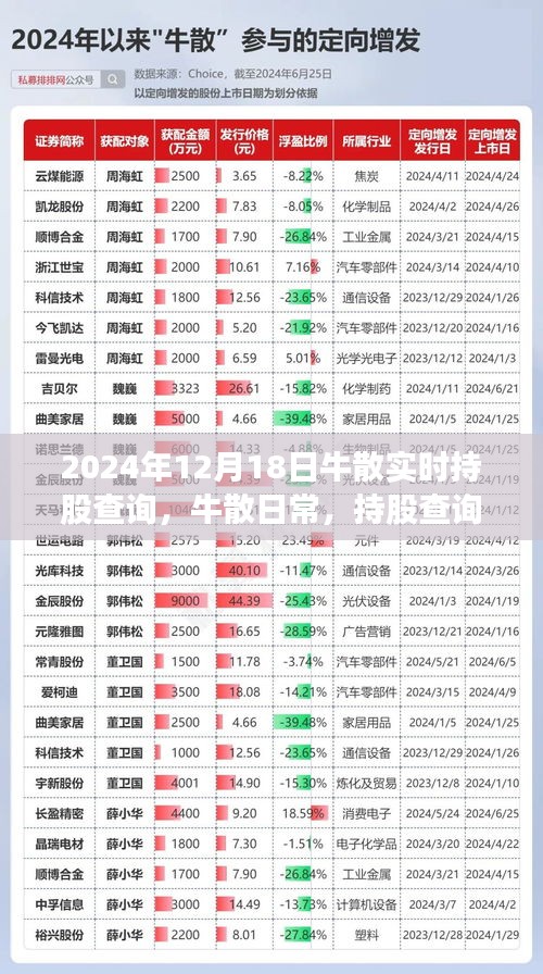 牛散日常揭秘，持股查询背后的温情故事与牛散实时动态追踪（2024年12月18日）