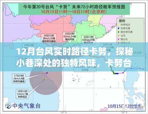 卡努台风下的美食探秘，小巷深处的独特风味与隐藏美食瑰宝